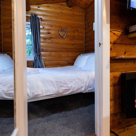 Mountain View Log Cabin In Snowdonia Nr Coed Y Brenin Tanygrisiau 외부 사진