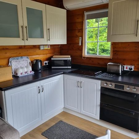 Mountain View Log Cabin In Snowdonia Nr Coed Y Brenin Tanygrisiau 외부 사진