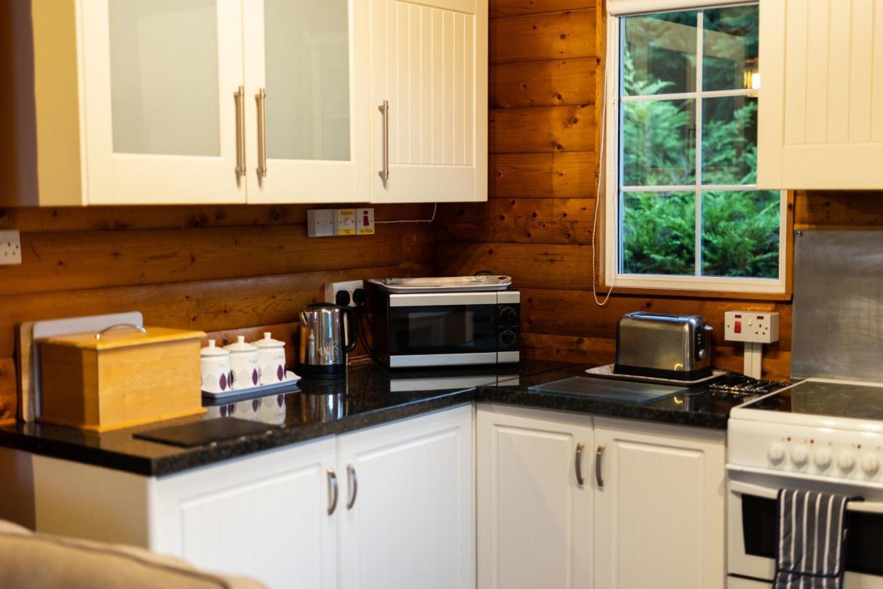 Mountain View Log Cabin In Snowdonia Nr Coed Y Brenin Tanygrisiau 외부 사진