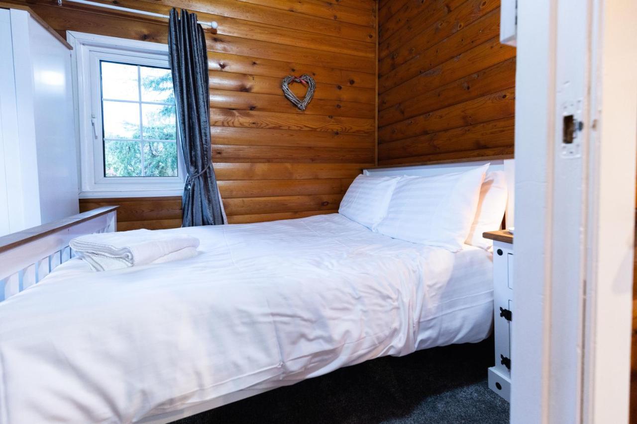 Mountain View Log Cabin In Snowdonia Nr Coed Y Brenin Tanygrisiau 외부 사진