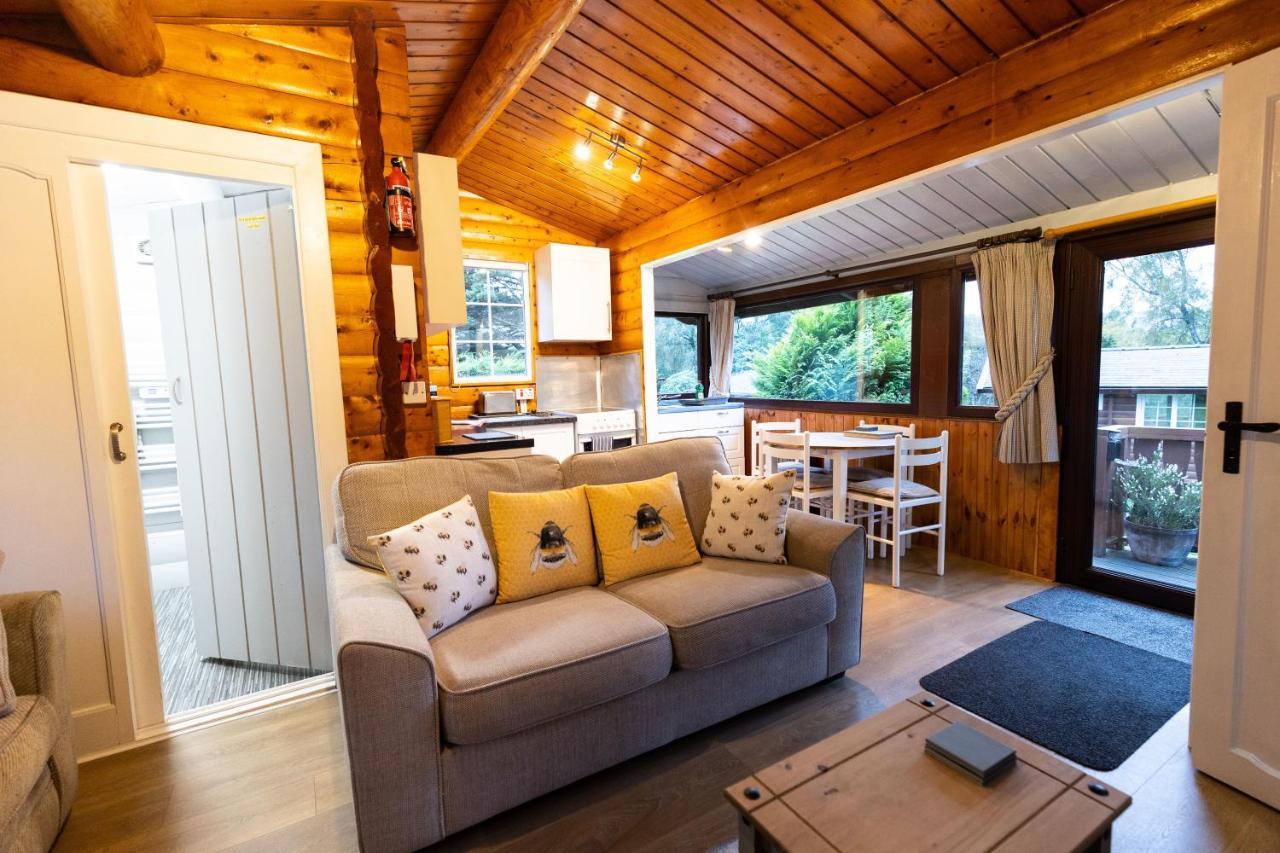 Mountain View Log Cabin In Snowdonia Nr Coed Y Brenin Tanygrisiau 외부 사진