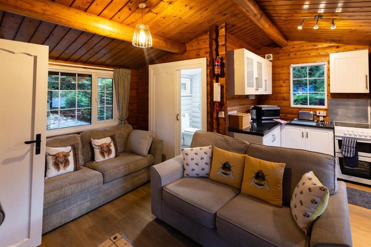 Mountain View Log Cabin In Snowdonia Nr Coed Y Brenin Tanygrisiau 외부 사진