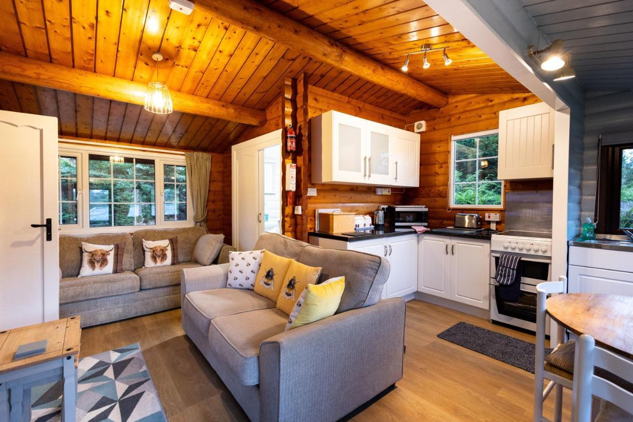 Mountain View Log Cabin In Snowdonia Nr Coed Y Brenin Tanygrisiau 외부 사진