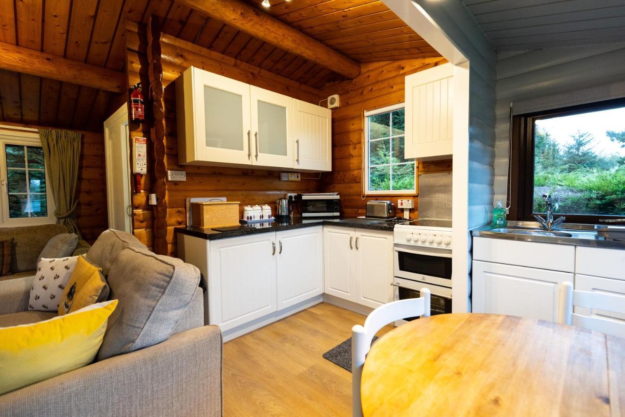 Mountain View Log Cabin In Snowdonia Nr Coed Y Brenin Tanygrisiau 외부 사진